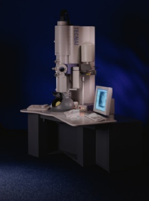 Transmission electron microscope  