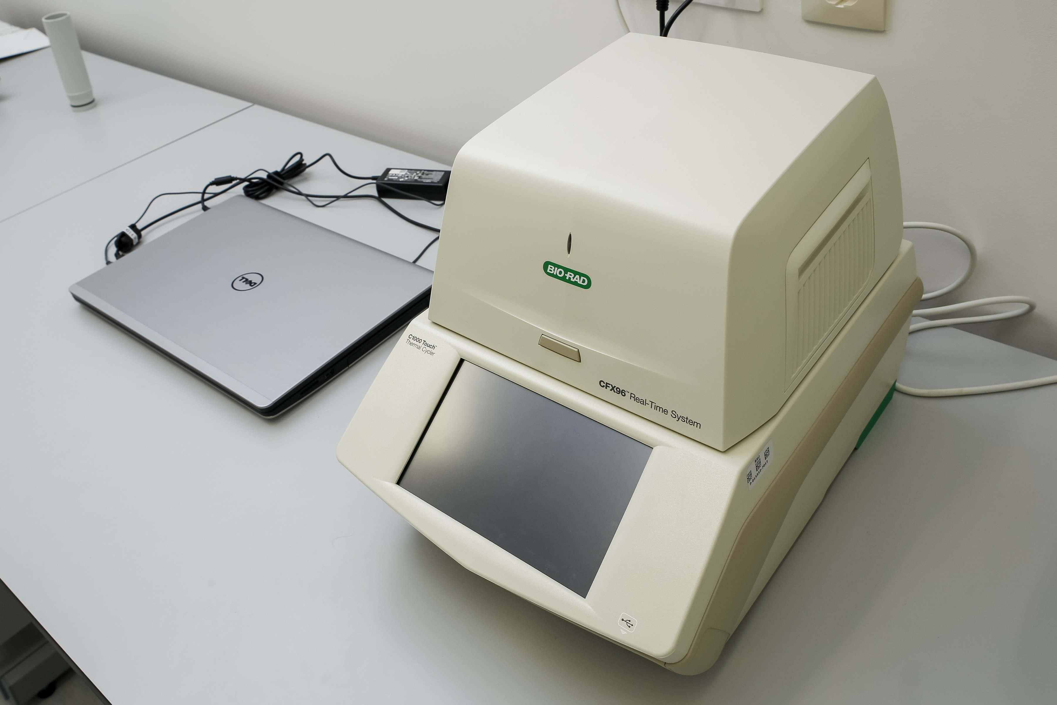 Real-Time PCR Detection System | UseScience