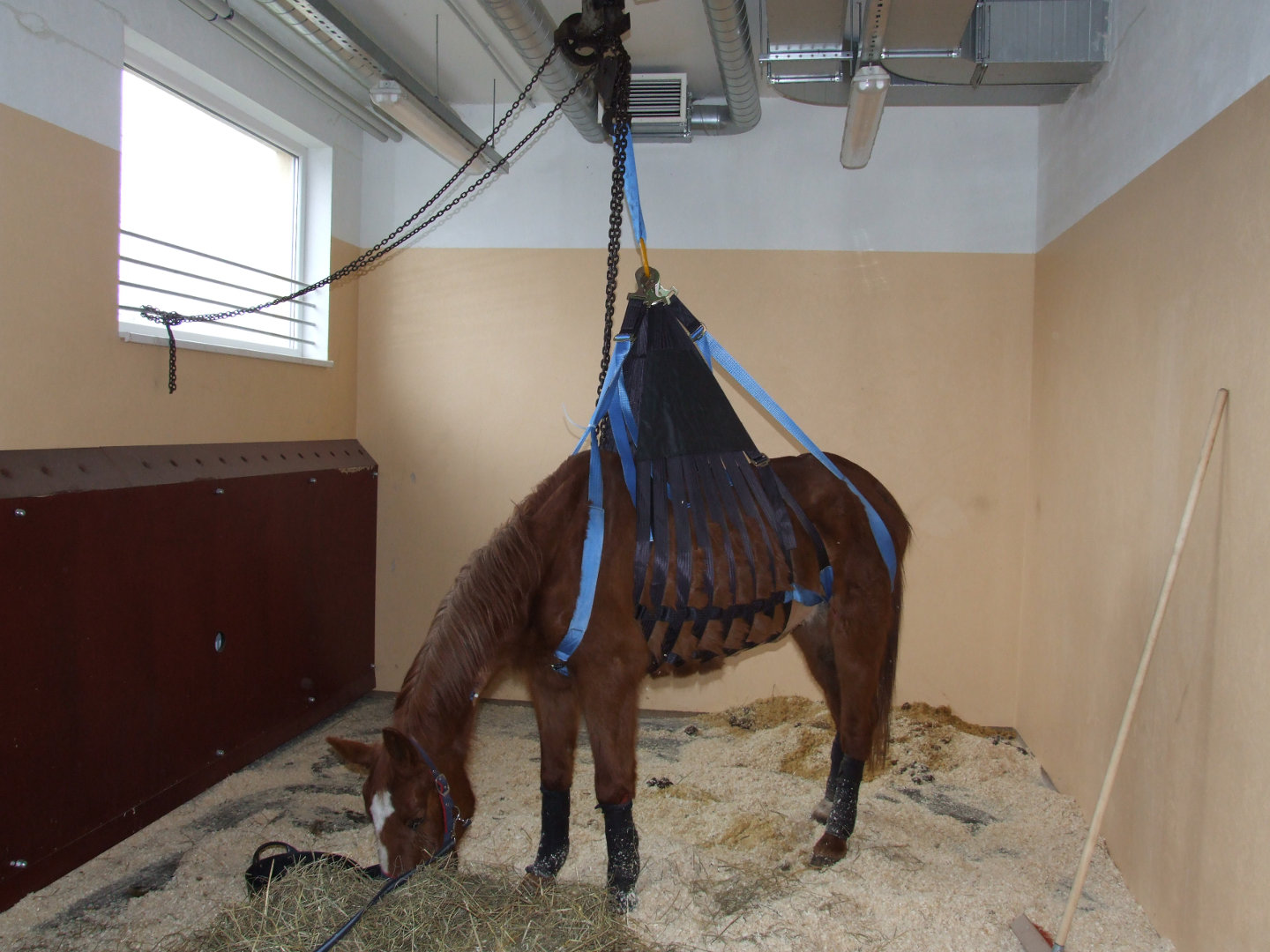 Large animal mounted machine