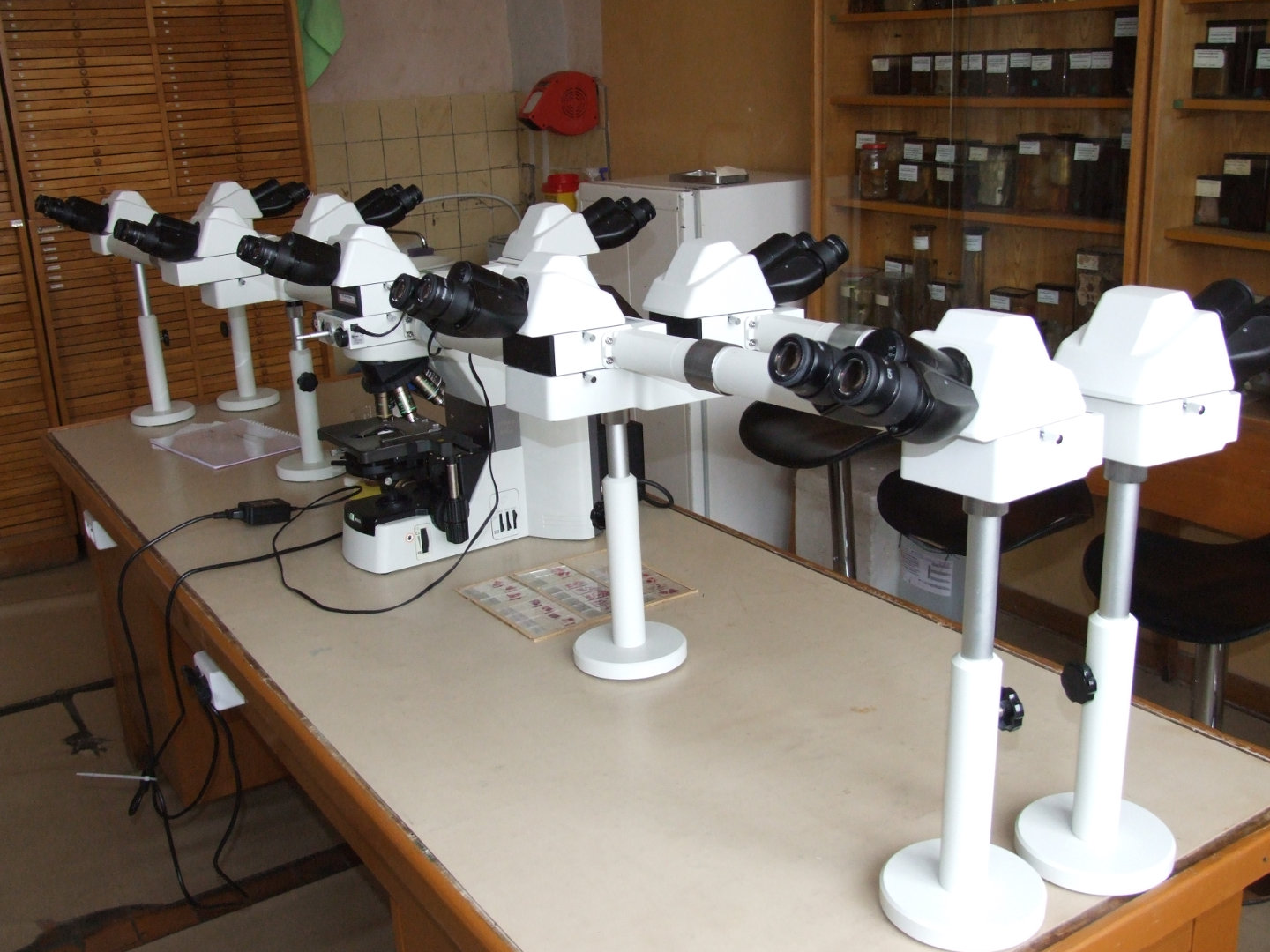 Microscope ECLIPSE 80i