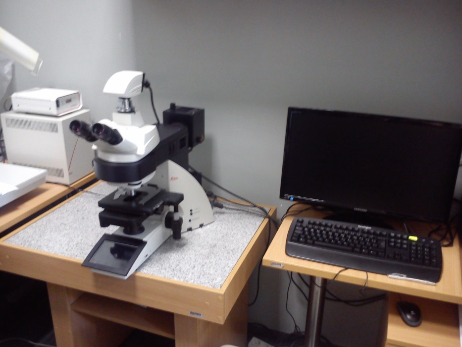 Fully automated upright microscope system